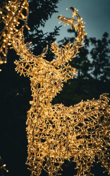 Programação inclui apresentações com Coral de Natal, a Banda Santa Cecília e a Parada de Natal