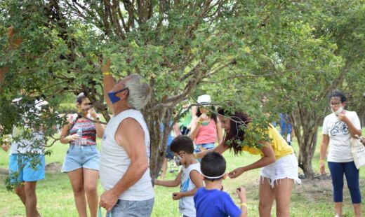 São cerca de 700 pés de jabuticaba espalhados pelo pomar