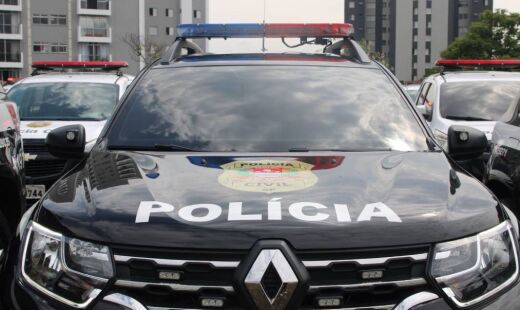 Polícia Civil fez apreensão após investigação 