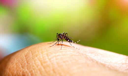 Há pouco mais de 139 mil casos prováveis de dengue no País, sendo 82 mil em São Paulo