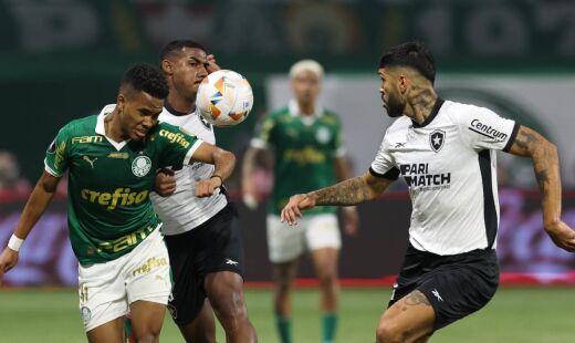Palmeiras e Botafogo se enfrentam, neste domingo, no Brasileirão