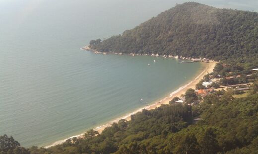 Litoral de Santa Catarina também sofre com acidificação.