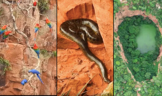 Conheça o santuário natural em Mato Grosso do Sul, joia da biodiversidade brasileira