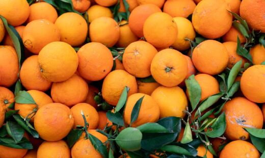 O estado de São Paulo é o maior produtor dessa fruta no País