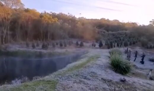Imagem registra pasto congelado em dia com -2 graus em Marsilac
