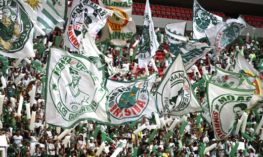 Palmeiras sobe uma posição e tem 3ª maior torcida do Brasil