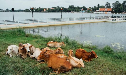 O município faz parte da Serra do Itaqueri, uma das mais belas do estado de São Paulo