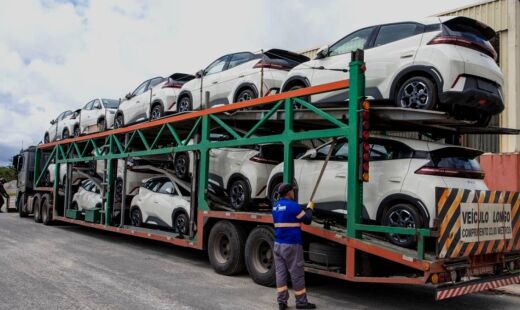 Primeira remessa do Dolphin Mini parte em cegonhas rumo a Bras&iacute;lia