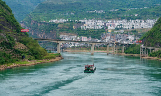Até o momento, o Bagarius protos foi identificado em diversos rios da província de Yunnan, mas os pesquisadores acreditam que ele também possa habitar regiões próximas de Myanmar e Tailândia
