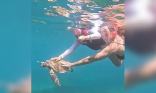 Vídeo do momento foi publicado pela turista nas redes sociais no dia 26 de setembro