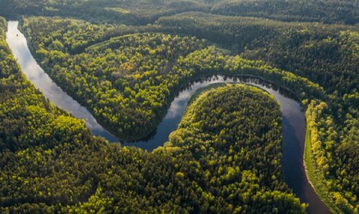 Brasil defende que a preservação das florestas não seja responsabilidade local