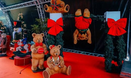 Entre o próximo sábado (6/12) até o Natal (25/12), a Esplanada do Paço Municipal receberá o "Natal Iluminado no Paço"