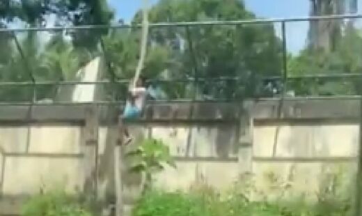 Caso aconteceu no Parque Zoobotânico Arruda Câmara, a Bica, em João Pessoa