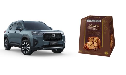 Plaza Sul Shopping ter&aacute; uma estufa interativa, trenzinho tem&aacute;tico, fonte dos desejos, espa&ccedil;os instagram&aacute;veis e o trono do Papai Noel