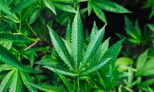 Condição provoca crises intensas de dor abdominal, náuseas e vômitos, e tem aumentado o número de pessoas na emergência