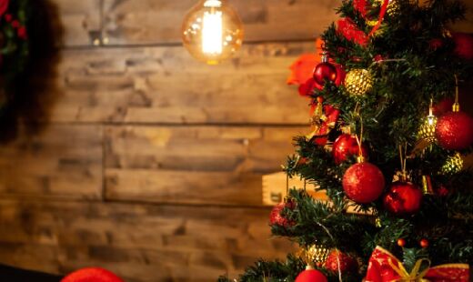 Complexo também montou uma árvore de nove metros e mais de uma dezena de atrações interativas