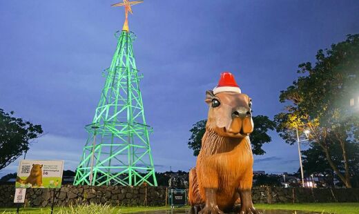 Levantamento aponta ainda que 49% dos consumidores devem realizar as compras em lojas físicas, seguidos por shopping centers