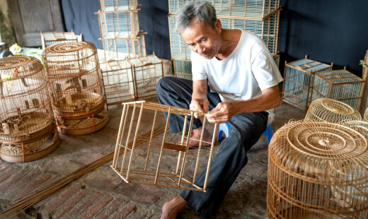 Conheça carreiras que exigem menos esforço físico e aproveitam o conhecimento acumulado ao longo da vida.