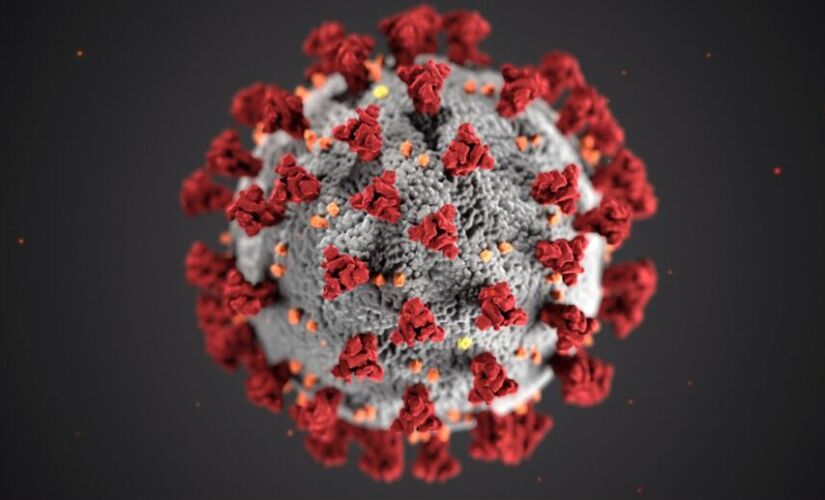 Imagem Coronavirus 