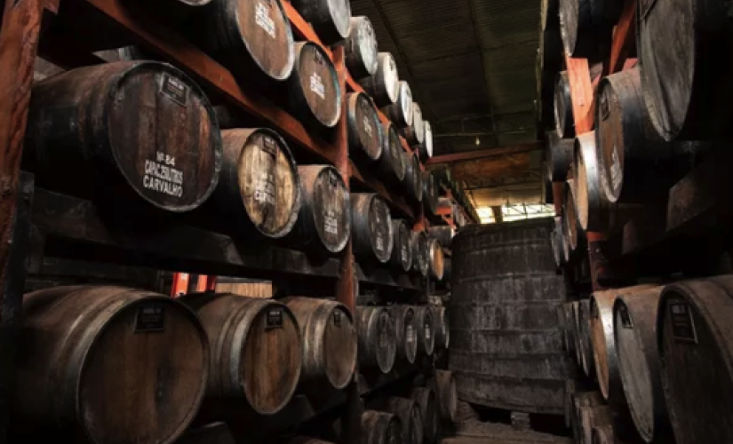 Melhor cachaça do mundo é produzida em SP