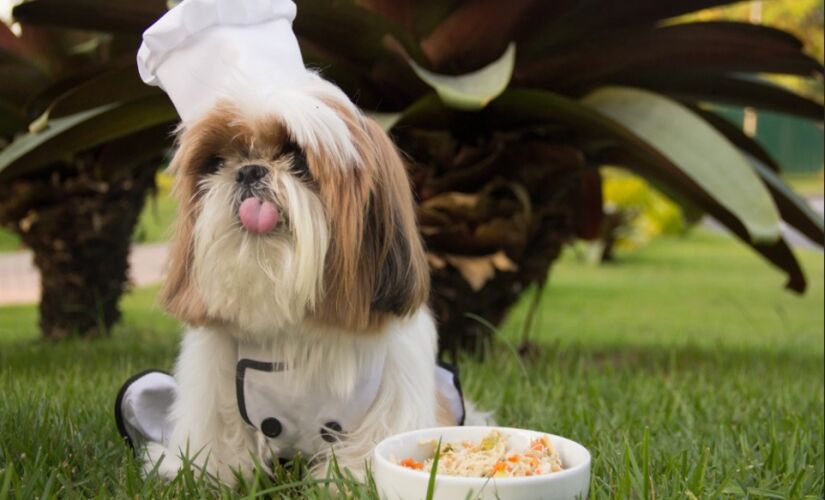 Inicialmente focada nos cães, a nova linha, desenvolvida em parceria com o Chef Bob, oferece cinco opções de cardápio