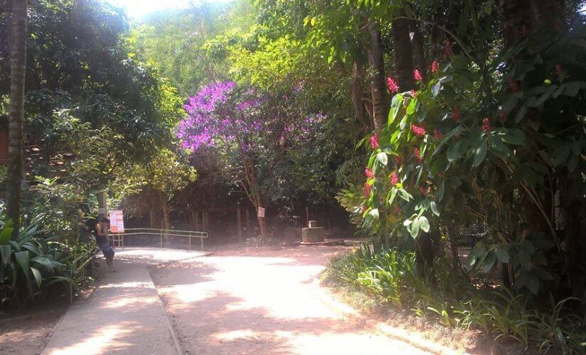 Parque Santo Dias, no Capão Redondo  