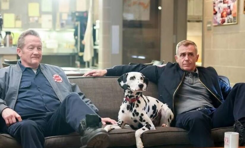 Cadelinha de 'Chicago Fire' morre dias antes do fim da série.