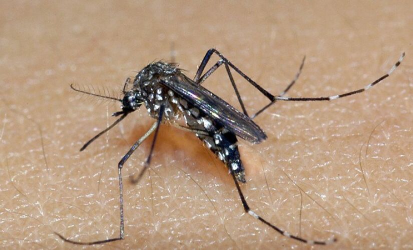 A iniciativa também visa a identificação e eliminação de possíveis criadouros do mosquito Aedes Aegypti