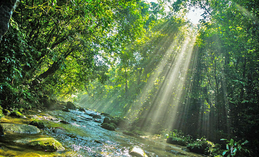 Uma das mais visitadas, a Trilha do Guaratuba é cercada por riachos, poços, cascata e praias naturais