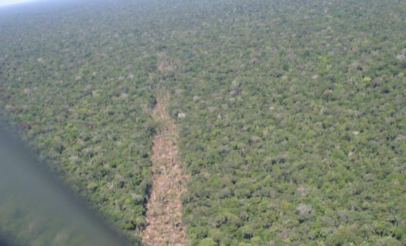 Floresta na Amazônia (arquivo)