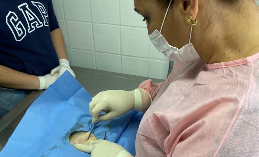 Centro de Controle de Zoonoses recebe médica veterinária para ensinar nova técnica de castração