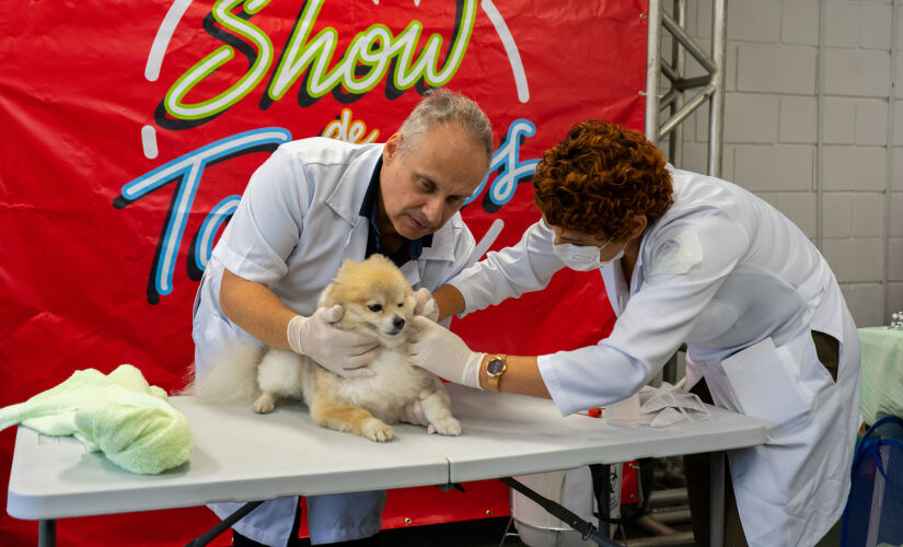 Curso de Auxiliar Veterinário da Escola de Estética Animal de Taboão da Serra está com inscrições abertas