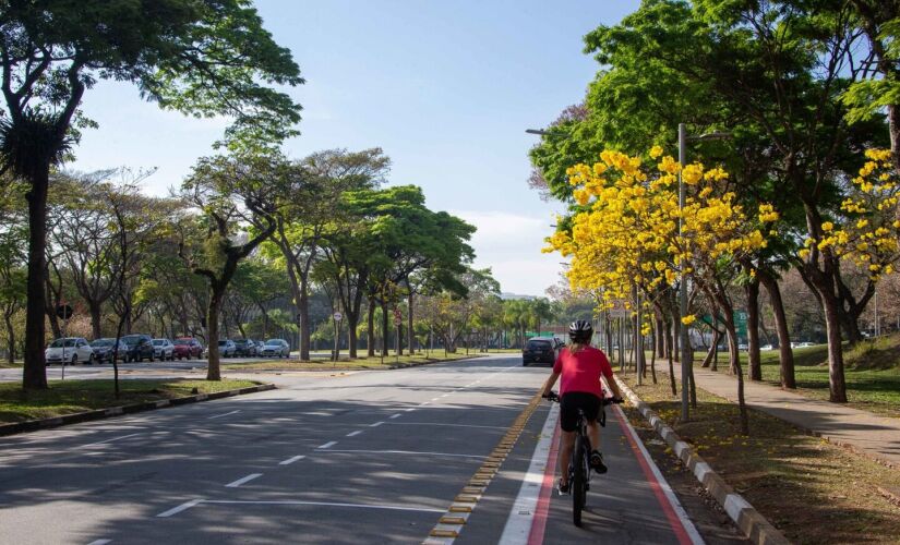 Ciclista trafega na ciclovia da Cidade Universitária