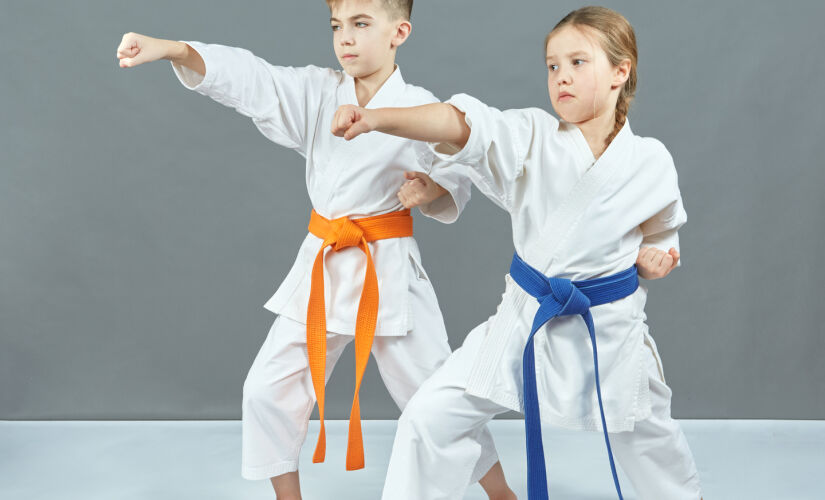 Aula infantil de Kung Fu para crianças (ilustração)