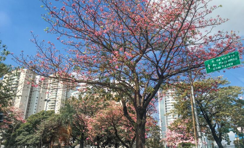 Apesar da mudança de estação, clima não deve ter grandes alterações