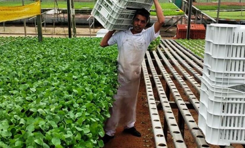 Doação de hortaliças para o Banco de Alimentos.