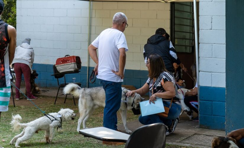 Mutirão Castra Pets em Taboão da Serra.