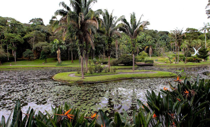 Atualmente, o Jardim Botânico possui cerca de 360 mil m&#xB2;, abrigando mais de 380 espécies diferentes de árvores e animais