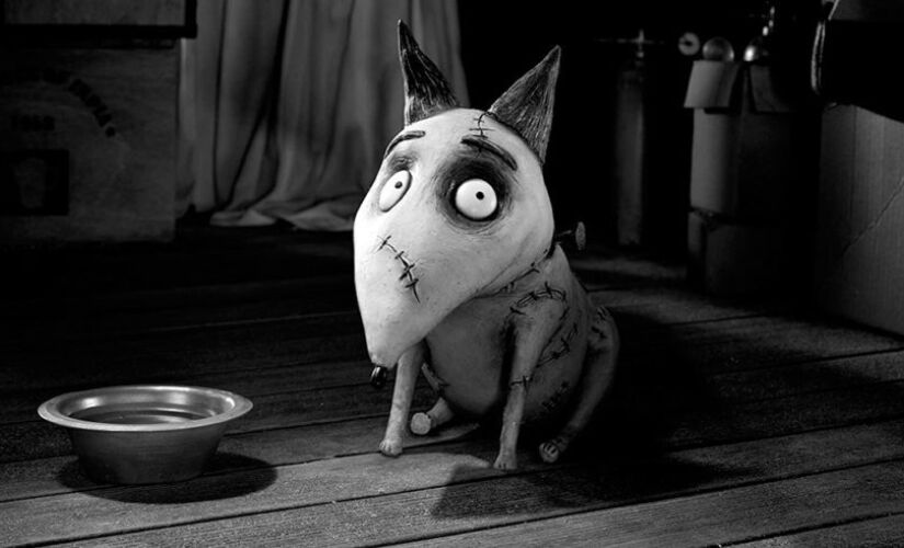 Frankenweenie será um dos filmes transmitidos para o público
