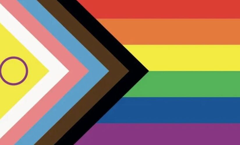 Nova bandeira LGBT+.