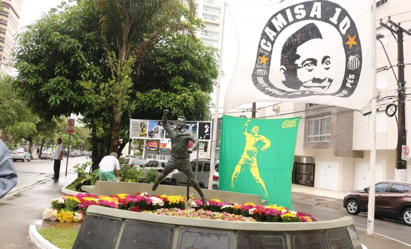 Muda de pau-brasil homenageia Pelé junto a reduto de torcedores em Santos 