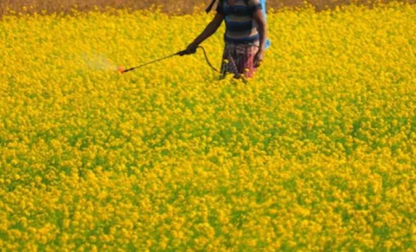 Os agrotóxicos provocaram 439 mortes entre 2019 e 2022