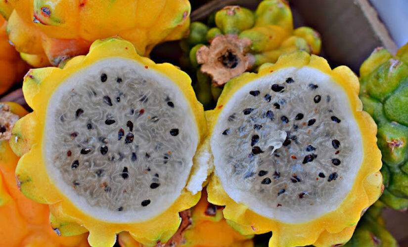 Pitaya é uma excelente fonte de fibras
