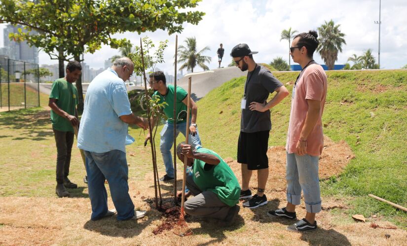 Mudas são plantadas em Santos