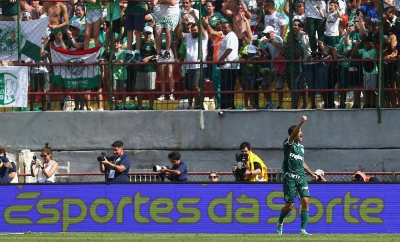 Palmeiras venceu o América Mineiro para levantar a taça