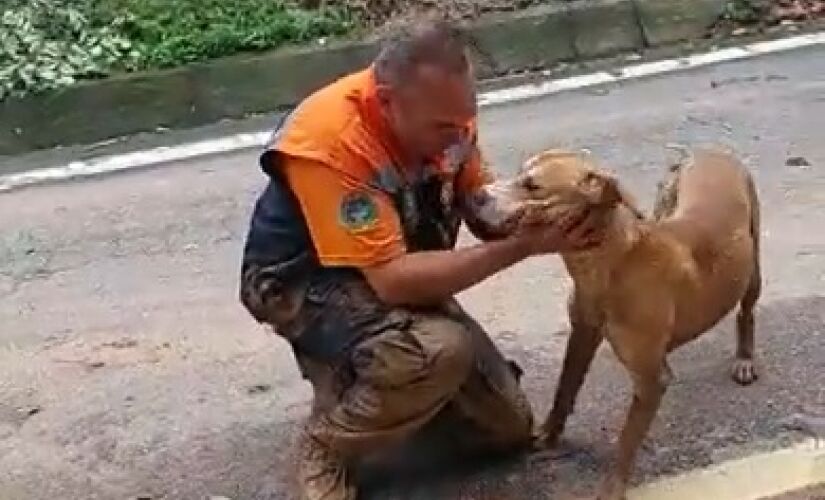 Cachorro é salvo por agentes da Defesa Civil em São Sebastião