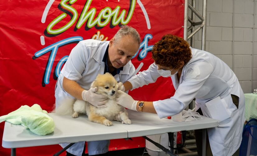  Escola de Estética Animal oferece vagas remanescentes para curso gratuito de auxiliar veterinário em Taboão da Serra