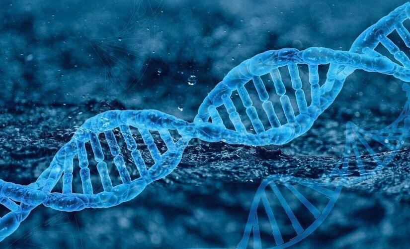 De acordo com a geneticista e bióloga molecular, Susana Massarani, ainda há muita desinformação acerca do DNA