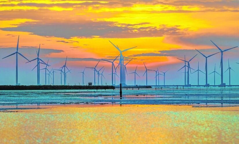 Conforme as estimativas do projeto, a geração de energia resultante poderá atender cerca de 500 mil domicílios. 