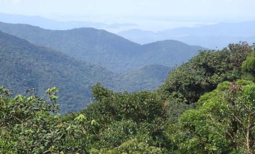 Segundo a ONG SOS Mata Atlântica, o município possui 25 mil hectares preservados do bioma, que é celebrado neste sábado (27), o Dia da Mata Atlântica.
